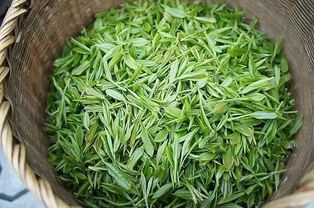 十大名茶各有哪些独特功效？你是否了解它们的作用？