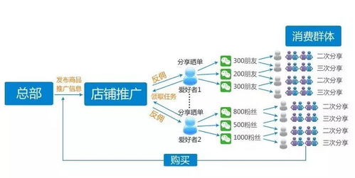 怎样才能高效引领代理销售新手迅速实现产品出货？