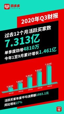 投入6万拼多多助力，真的能顺利达成目标吗？