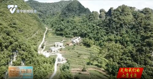 大山深处有哪些致富养殖项目可行？