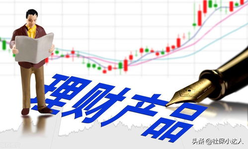 如何选择优质基金实现高收益投资？哪种基金更赚钱？