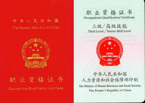 如何顺利考取副业导游证？详细步骤解析