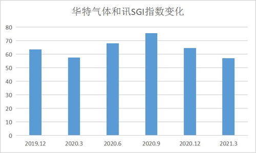 哪种胶带生产项目最具盈利潜力？