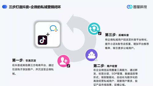 如何在抖音推广应用中实现盈利？方法有哪些？