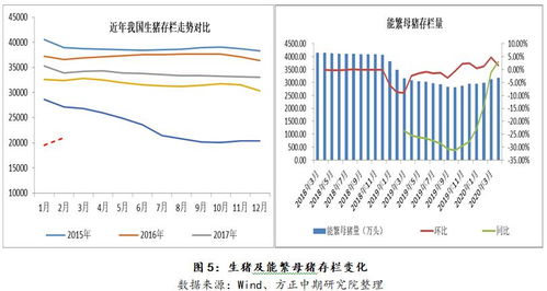 在日照地区养殖什么项目能带来最高收益？
