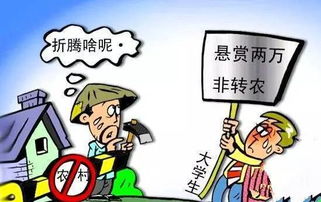 农村有哪些赚钱的职业适合你尝试？