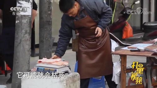 80后负债小伙如何靠摆摊逆袭翻身？