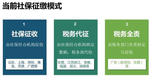 广东社保自助服务平台如何使用？带你深入了解操作步骤与功能