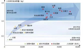 包厂经营真的能带来丰厚利润吗？探讨其盈利潜力