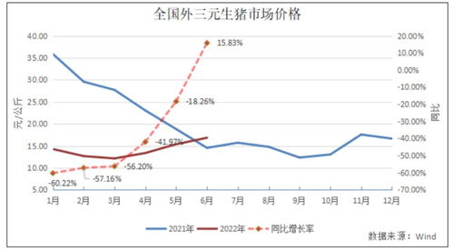 在广州炒股盈利，每月生活费需多少才够用？