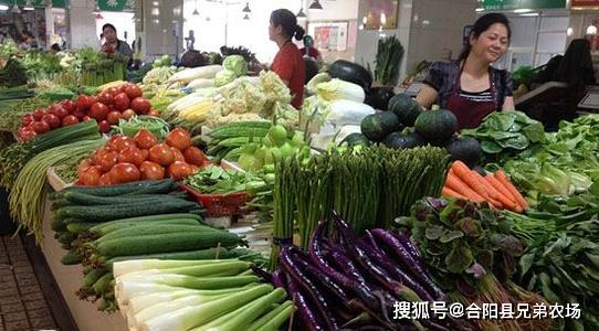 菜场经营哪种蔬菜最具盈利潜力？选对品种轻松赚钱！
