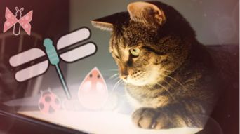 国外有哪些可以边玩边赚钱的猫咪游戏？