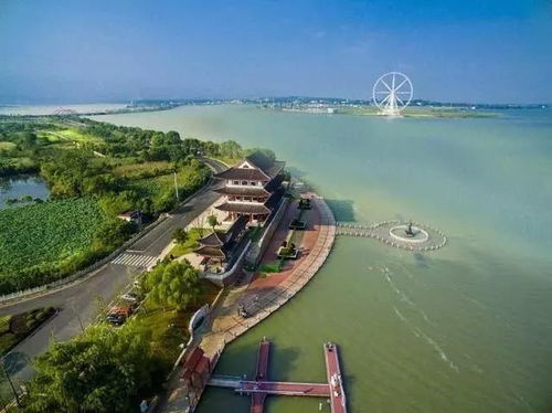 想了解岷县的自助团购？这里有一个平台你不可错过，是哪个？