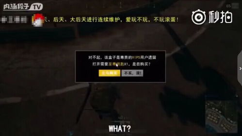 如何在吃鸡游戏中代人打游戏赚取额外收入？
