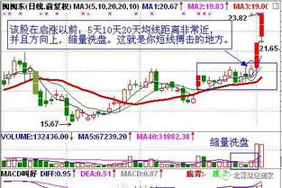 买股价基金真的能赚钱吗？面相分析告诉你真相