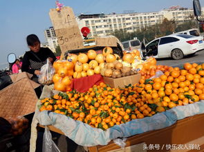 卖桔子摆摊真的能赚钱吗？实拍视频告诉你真相！