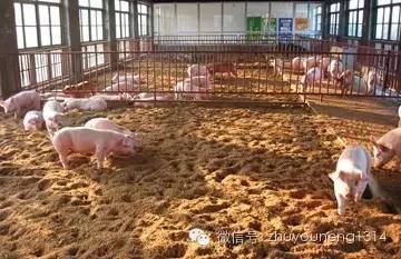在安徽宣城搞养殖，真的能赚到钱吗？