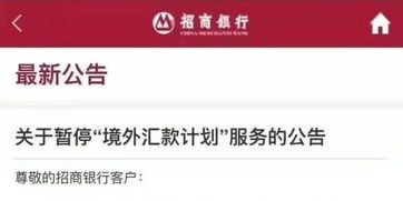 招行自助境外汇款业务如何操作？这是否是您需要的汇款解决方案？