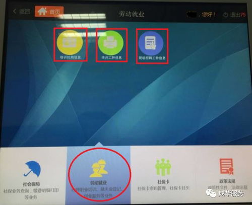 自助平台的劳动就业功能为何没有反应？如何解决这一问题？