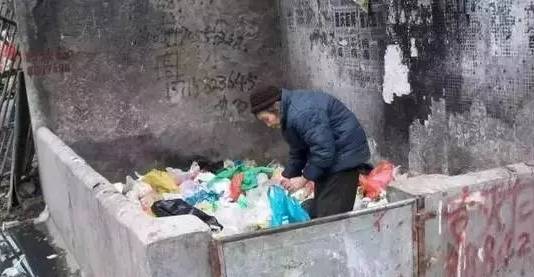 在单位捡垃圾卖，哪种废品最赚钱？