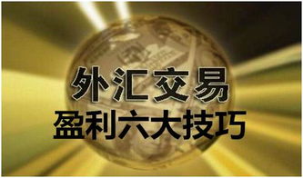 电脑副业如何实现高效盈利？新手必看攻略！