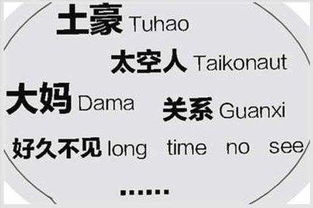 中式英语真的能带来经济收益吗？探讨其市场潜力
