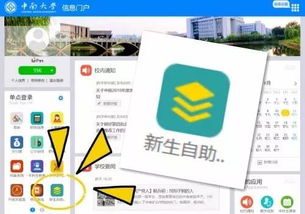 迎新自助网站有哪些功能与服务？全面解析新生必备平台