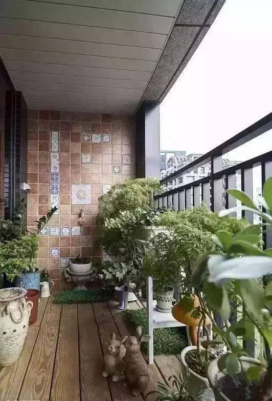 在家阳台养殖龙虾，真的能实现盈利吗？