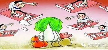 在农村养百只小鸡能否实现盈利？