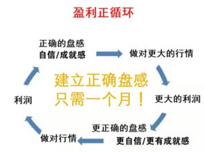 如何利用365天实现稳定收入？你不可错过的赚钱攻略！