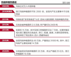 704兼职换购是什么？揭开这种新型兼职模式的神秘面纱