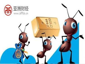 黑蚂蚁免费自助下单平台真的存在吗？探索高效便捷的订单处理新选择！