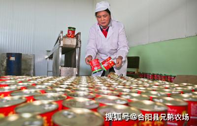 农村创业有哪些赚钱的门路？你了解吗？