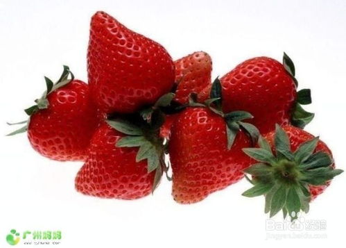 种草莓与桃子，究竟哪个更赚钱？选择哪种水果更具经济效益？