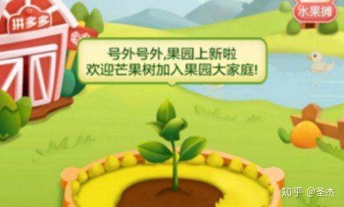 如何在拼多多果园中轻松助力获取水果？