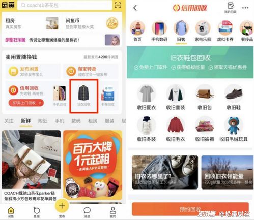 闲鱼自助下单的官方网站究竟是什么？哪里可以找到正确的入口？