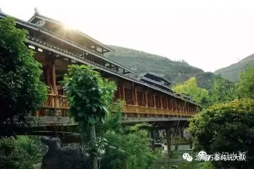 想了解青瓦房自助团购平台吗？这里有什么独特优势等你探索？