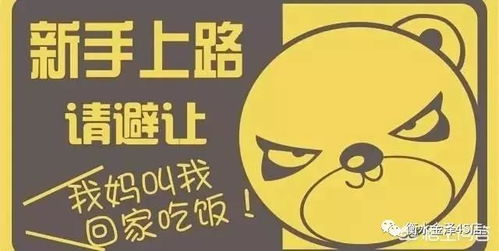 如何找到靠谱的赚钱途径？新手必看！