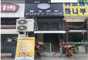 深圳地区的宠物自助店转让，有哪些可靠的平台可以选择？
