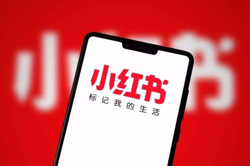 如何在小红书上开启副业赚钱之路？你准备好了吗？