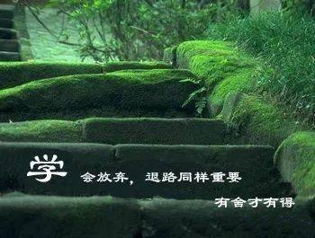 石头上种啥最划算？探索高效益种植新选择
