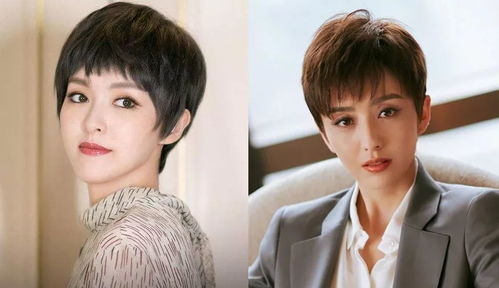 明星们的副业究竟是什么？他们如何兼顾主业与创业？