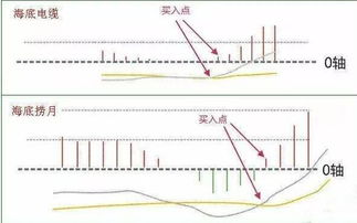 在众多零件中，哪一款能让你迅速盈利？