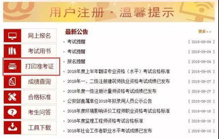 如何成功开启演唱会副业？步骤与注意事项全解析