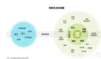 微商的当下发展态势如何？探析其现状与未来走向