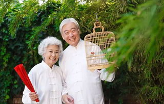 退休老阿姨如何在家经营副业卖花？