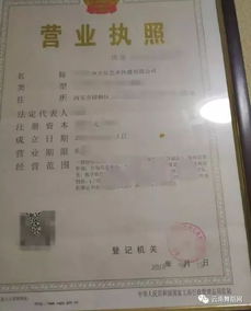 如何获取最新版个人工作证明书？申请流程及注意事项详解