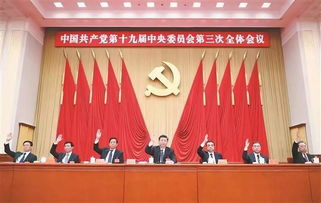 党委兼职委员的产生方式是选举还是任命？
