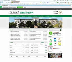 定远地区有哪些自助相亲网站值得信赖？全面解析优质平台选择指南