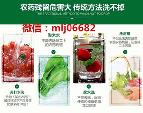 微商进口水果批发市场网如何成为行业新宠？